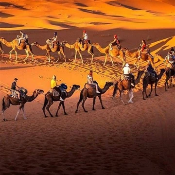 The History of Chinese Tea's Introduction to Africa